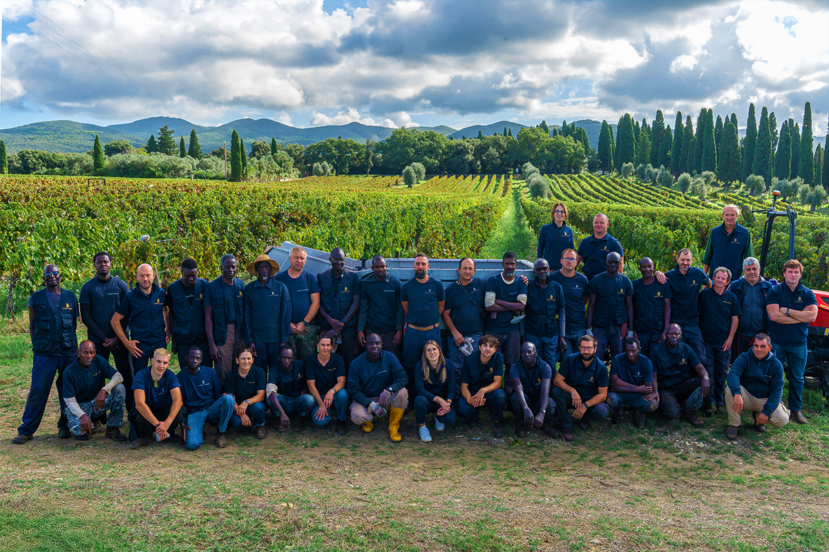 Castello di Bolgheri staff during the harvest