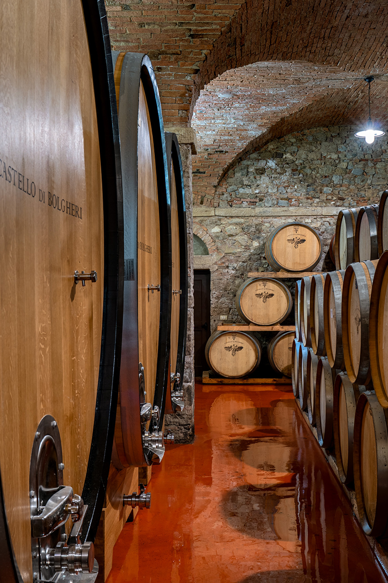 interior of the cellar